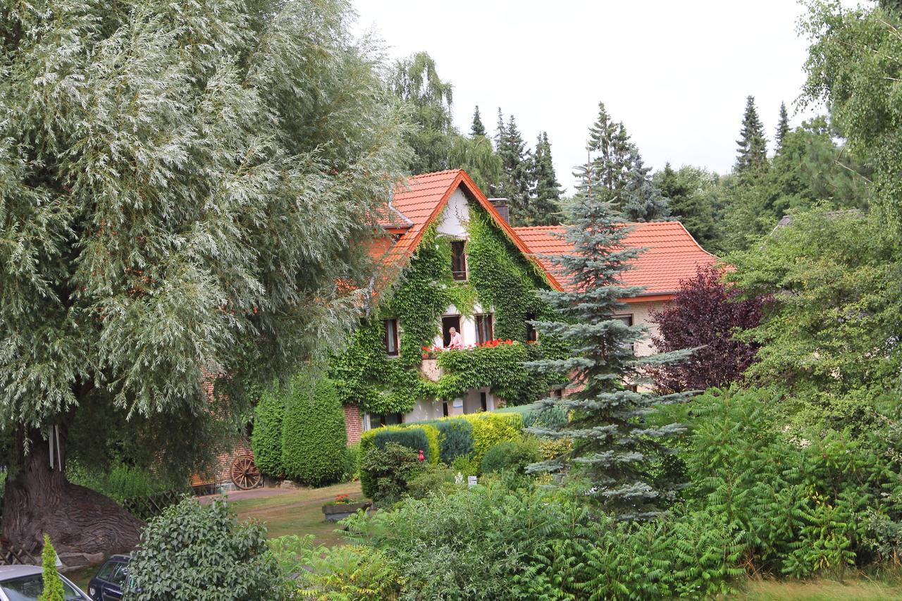 Hotel-Pension Haus Holtdirk Lippstadt Rum bild